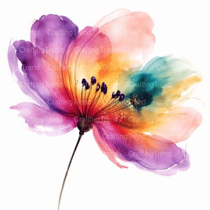Peut inclure: Peinture à l'aquarelle d'une fleur vibrante avec des pétales dans les tons de violet, rose, orange et sarcelle. La fleur a une tige et des étamines foncées avec des anthères violet foncé. Le fond est blanc.