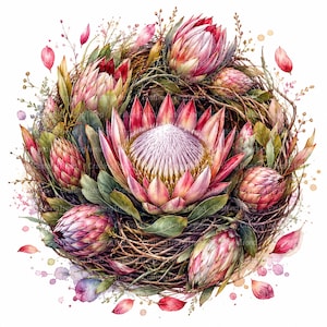 Puede incluir: Un arreglo circular de flores de protea rosas y blancas anidadas dentro de un nido de ramas marrones. La composición incluye hojas verdes, pétalos rosas dispersos y sutiles salpicaduras de pintura estilo acuarela alrededor del centro.