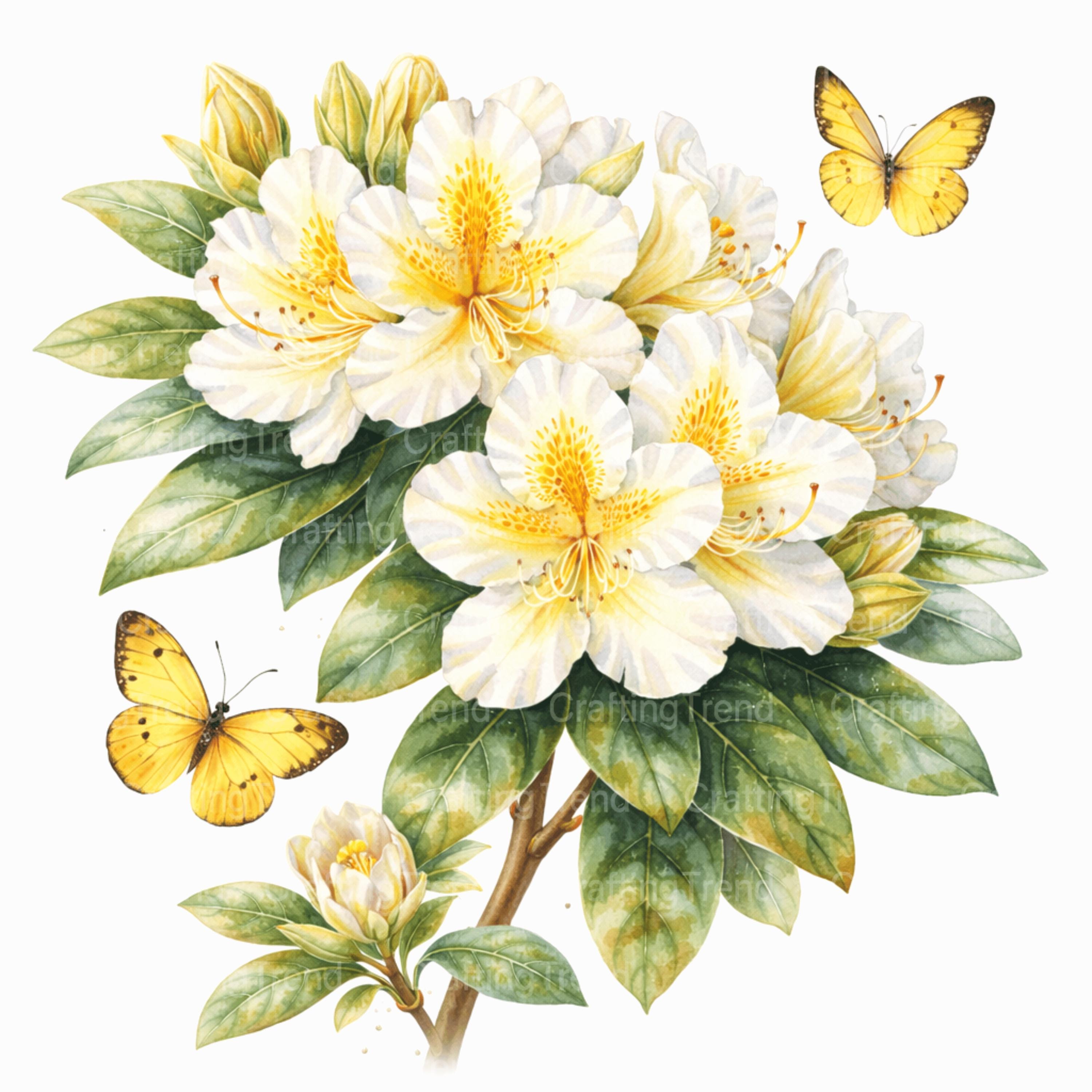 Rhododendron bouquet - Etsy.de