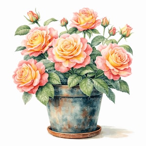 May include: Watercolor illustration of a potted rose plant. The roses are a mix of pink and yellow, with green leaves. The pot is a weathered blue-gray, sitting on a brown saucer. The text "Crafting Trend" is visible.