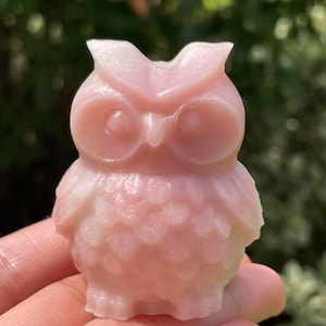 Könnte beinhalten: Eine rosa Eulenfigur aus Stein geschnitzt. Die Eule hat große Augen, einen kleinen Schnabel und detaillierte Federtexturen. Die Figur wird in einer Hand gehalten, mit einem verschwommenen grünen Hintergrund.