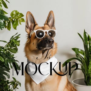 Dog Bandana Mockup For Canva Drag Drop Bandana Collar Drag Drop Mock Up PNG Transparent Pet Bandana Collar Mockups for Dog Overlay