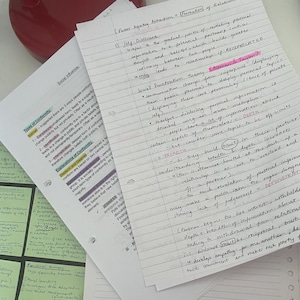 Attachment - AQA A-Level Psychology Essay Plans/Notes That Guarantee An A/A* - READ DESCRIPTION