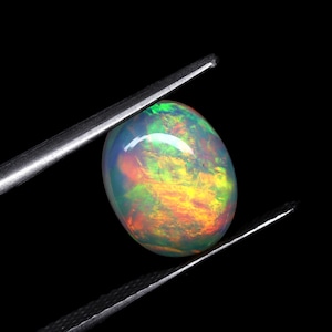 May include: An oval-shaped cabochon opal gemstone displaying a vibrant play-of-color with flashes of orange, yellow, and green against a translucent white base. The gemstone is held between the metal tips of a pair of silver-toned tweezers.