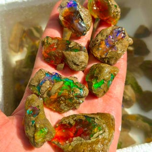 May include: A collection of raw, unpolished opal stones featuring irregular, earthy brown rock exteriors with vibrant, iridescent flashes of red, green, blue, and orange light emanating from the exposed, crystalline interior surfaces of each piece.