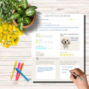 Daily Gratitude Journal Printable & Digital | Instant Download PDF, PNG ...