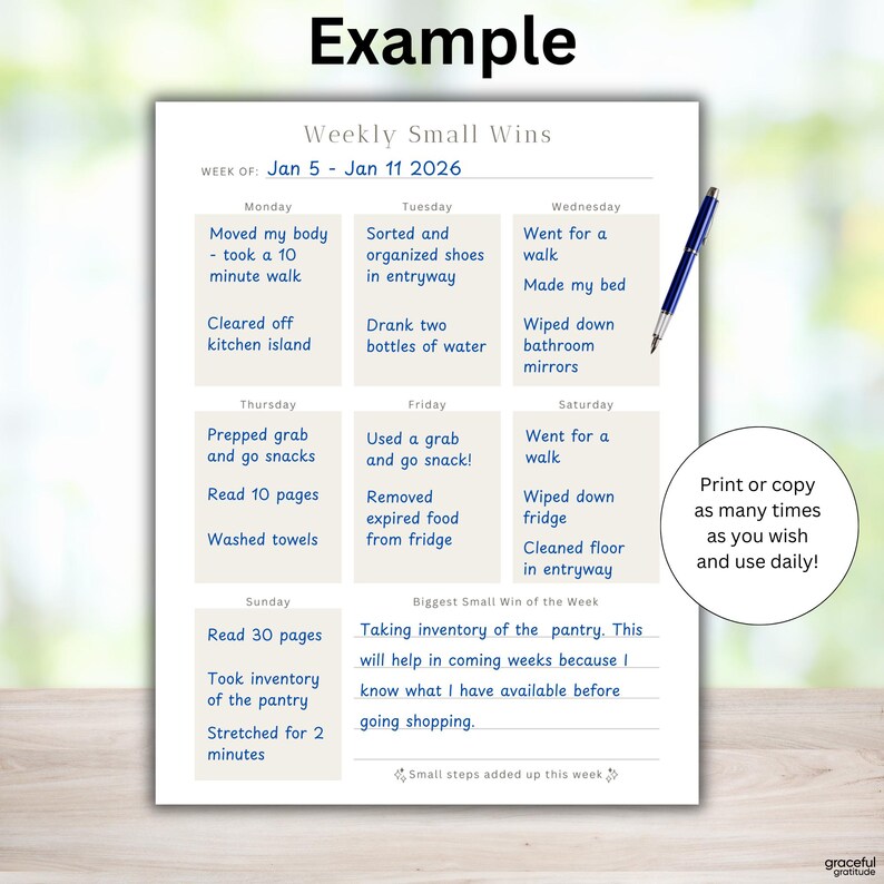 Weekly Small Wins Tracker Printable | PDF, PNG | 3 PDF Sizes: Letter ...