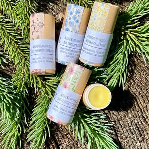 Minimantecas labiales hidratantes de manteca de cacao, cero residuos + hidratantes en tubo ecológico biodegradable