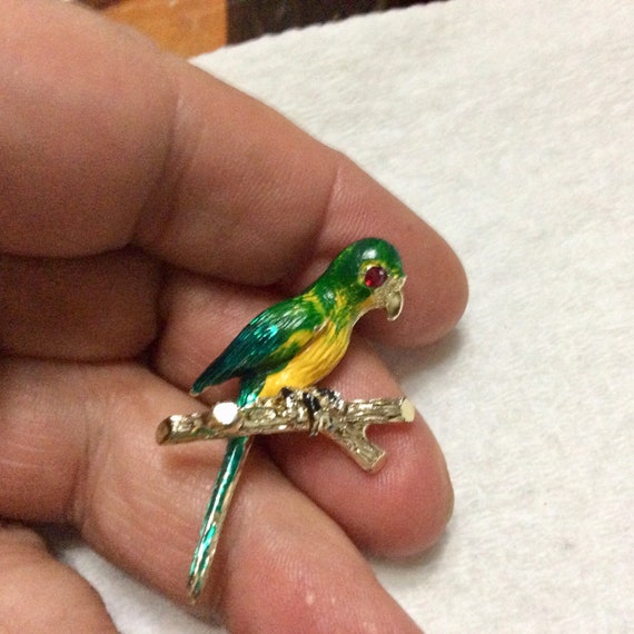 Parakeet bird on branch enamel brooch pin 1950s - image 4