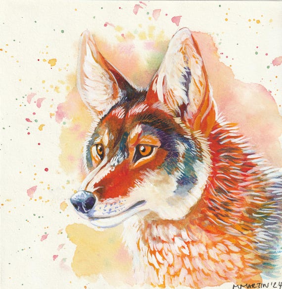 Coyote Wolf Coyote Mixed With Fox 8+ Thousand Dog Coyote Wolf Fox