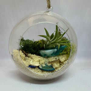 Hanging Air Plant Terrarium | Glass Orb Planter, Minimalist Home Decor