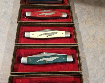 American Eagle Collector Knives