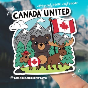 Adesivos de vinil fofos com alces, cabras e ursos nas Montanhas Rochosas, Canadá | Adesivo estético à prova d'água para laptop, capa de celular, carro e agenda