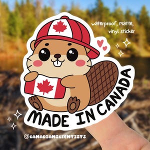 Süßer Made in Canada Beaver mit kanadischer Flagge Vinyl Aufkleber | Ästhetischer wasserdichter Aufkleber für Laptop, Gepäck, Telefonhülle, Auto und Wasserflasche