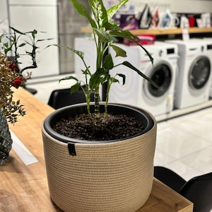 May include: A houseplant with green and white leaves in a beige woven basket. The basket has a black rim and a black leather tag. The plant is on a wooden table in a shop.