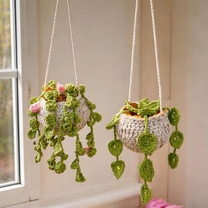 Crochet Hanging Plant Pattern Bundle – String of Turtles, Money Plant (PDF Download)