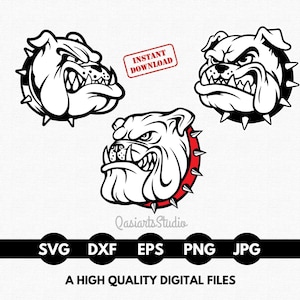 Paquete SVG de mascota bulldog, SVG de bulldog, clipart de bulldog, cabeza de bulldog, mamá bulldog SVG, bulldog PNG, EPS, DXF - Descarga digital instantánea