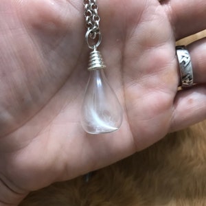 Pendentif plume de pingouin de Magellan dans un flacon en verre / Pendentif plume véritable / Bijoux en os véritables / Curiosités / Cadeaux pour elle / Unisexe image 6