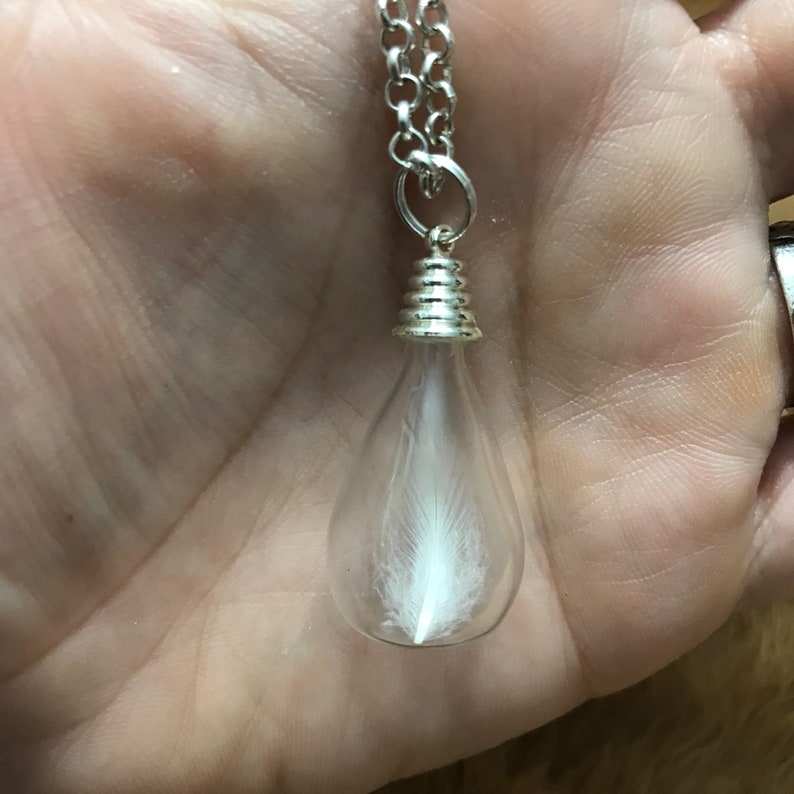 Pendentif plume de pingouin de Magellan dans un flacon en verre / Pendentif plume véritable / Bijoux en os véritables / Curiosités / Cadeaux pour elle / Unisexe image 8