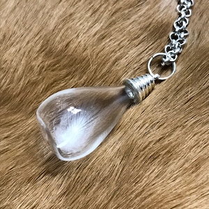 Pendentif plume de pingouin de Magellan dans un flacon en verre / Pendentif plume véritable / Bijoux en os véritables / Curiosités / Cadeaux pour elle / Unisexe image 1