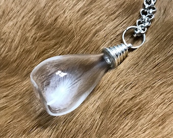 Magellanic penguin feather in a glass vial pendant / Real feather pendant / Real bone jewelry / Oddity / Gifts for her / Unisex