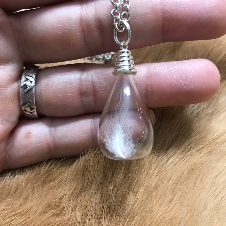 Pendentif plume de pingouin de Magellan dans un flacon en verre / Pendentif plume véritable / Bijoux en os véritables / Curiosités / Cadeaux pour elle / Unisexe image 7