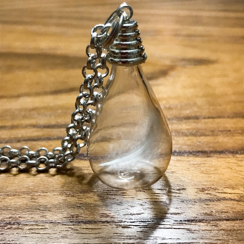 Magellanic penguin feather in a glass vial pendant / Real feather pendant / Real bone jewelry / Oddity / Gifts for her / Unisex image 2