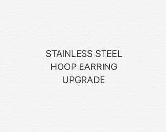 Stainless steel earring hoops upgrade