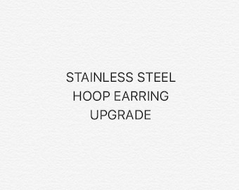 Stainless steel earring hoops upgrade