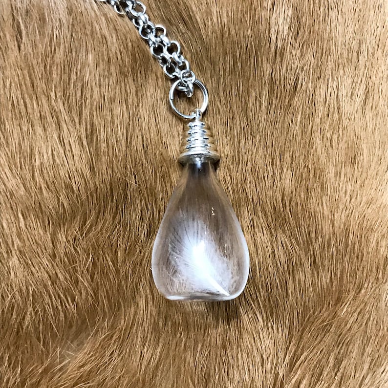 Magellanic penguin feather in a glass vial pendant / Real feather pendant / Real bone jewelry / Oddity / Gifts for her / Unisex image 3