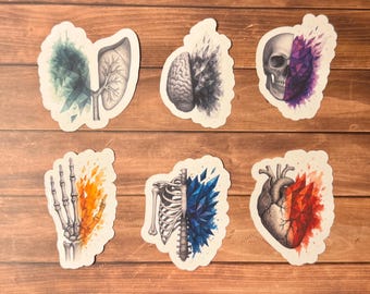 Anatomy Brain Hand Ribs Lungs Heart Skull Sticker Pack