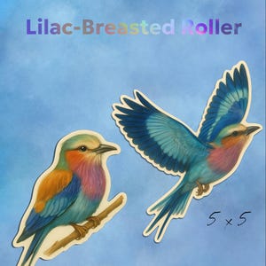 Juego de pegatinas de aves de pecho lila (2 piezas) / Pegatinas de 7,62 cm, 10,16 cm o 12,7 cm / Arte de aves africanas en acuarela / Pegatinas de aves para portátil