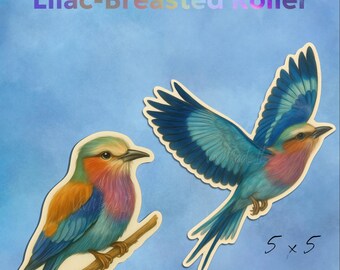 Lilac-Breasted Roller Bird Stickers: Watercolor African Art, Laptop Decals Waterproof Matte