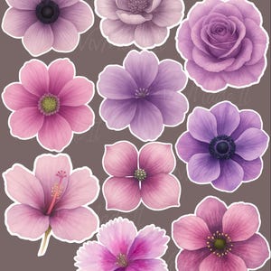 Set de pegatinas de flores de acuarela: pegatinas botánicas troqueladas en morado y rosa