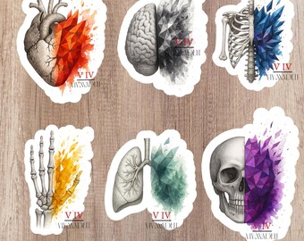 Abstracte anatomie stickerpakket: gotische medische vinylstickers