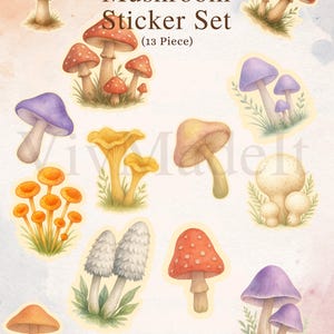 Stickerset Cottagecore Mushroom - 13-delige vinylstickers aquarelschimmels, Cottagecore-esthetiek, benodigdheden voor scrapbooking en tijdschriften