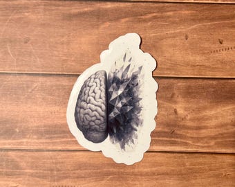 Brain Anatomy Sticker | Waterproof Medical Decal