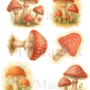 Ensemble d'autocollants champignons agaric mouches – 6 grands autocollants aquarelles champignon vénéneux à bonnet rouge (3 x 4 po.), stickers en vinyle Cottagecore Fungi