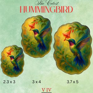 Sticker colibri en acrylique - Sticker vinyle oiseau coloré - oeuvre d'art de la nature pour les ornithologues amateurs - cadeau cottagecore - cadeaux faits main pour les amateurs d'oiseaux