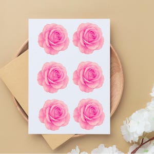2” Pink Rose Stickers – Realistic Watercolor Floral Sheet
