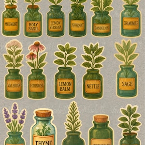 Set di adesivi vintage per erbe aromatiche - 16 pezzi / Adesivi botanici acquerellabili / Opaco, lucido o semilucido / Scrapbooking, Journaling