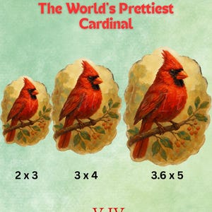Sticker cardinal acrylique - oiseau rouge sur une branche - sticker vinyle art nature - cadeau ornithologie cottagecore - cadeau fait main pour les amateurs d'oiseaux