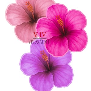Pegatina de flor de hibisco tropical: vinilo impermeable (rosa, malva y morado)
