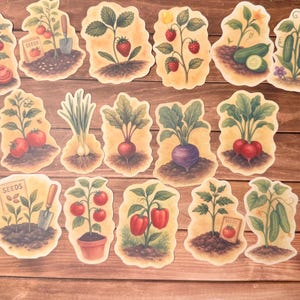 Op de afbeelding: Een verzameling van zestien gestanste stickers met botanische illustraties van diverse tuin-groenten en fruit, waaronder tomaten, aardbeien, komkommers, paprika's, radijzen en uien, sommige met zaadzakjes en tuingereedschap afgebeeld.