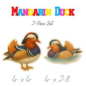Set di adesivi Mandarin Duck – Adesivi a forma di uccello acquerello in 2 pezzi / Adesivi che nuotano e si appollaiano / Adesivi con uccelli bellissimi in vinile da 4" / Arte naturalistica