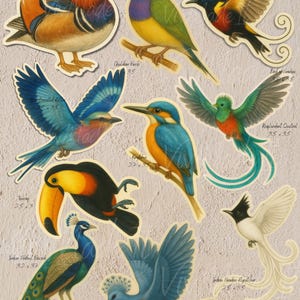 Stickerset 's Werelds mooiste vogelscollectie: 10-delige wereldwijde vogelcollectie | Aquarelvinylstickers | Exotisch cadeau voor vogelspotter