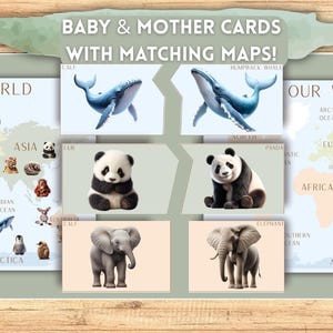 Baby & Mother Cards with Matching Maps, geography, animal habitats, science, preschool, kindergarten, Montessori at Home