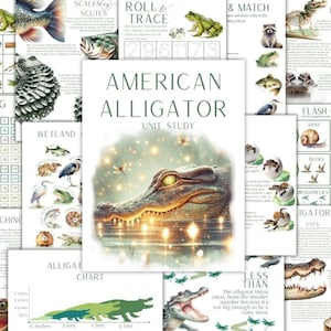 May include: A collection of educational printables with an "American Alligator Unit Study" theme. The central image features a detailed illustration of an alligator's head in water. Additional pages include charts, diagrams, and illustrations of various animals.