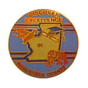 Worcester County MARYLAND STATE vintage enamel pin lapel badge  MD pinback