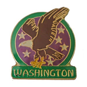 WASHINGTON State EAGLE vintage enamel pin lapel badge  WA pinback